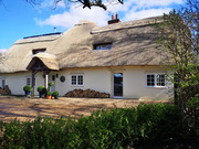 Thatched roof maintenance